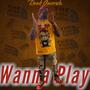 Wanna Play (Explicit)