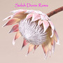 Solah Dunie Rama