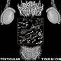 Testicular Torsion (feat. Desecrated Extinction)