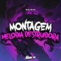 Montagem Melodia Destruidora (Explicit)