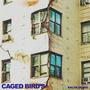 Caged Bird's (Explicit)