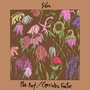 The Poet/Geriatric Factor