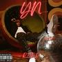 YN (Explicit)