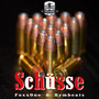 Schüsse