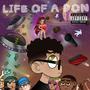 LIFE OF A DON (Explicit)