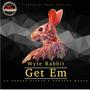 Get Em (feat. Teresa Nicole & Dungeon Masta)