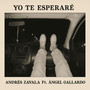 yo te esperare