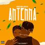 ANTENNA (Explicit)