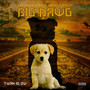 Big Dawg (Explicit)