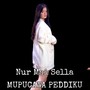 Mupucawa Peddiku