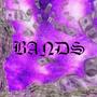 BANDS (feat. RM$Sosanami) [Explicit]