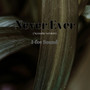 Never Ever (Acoustic version)