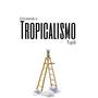 Estudando o Tropicalismo