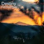 Destiny