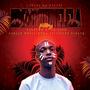 Ndizophumelela (feat. LelethuN,CK Loyd,Sergio Music & King Mash)