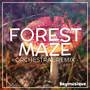 Forest Maze (From 