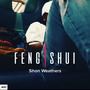 Feng Shui (普通版)