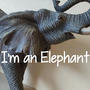 I'm an Elephant