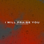 I Will Praise You