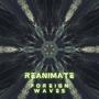 Reanimate (feat. Joey Izzo)