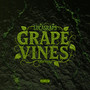 Grapevines (feat. Ca$h Khali) [Explicit]