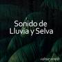 Sonido de Lluvia y Selva