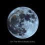 On The Wind (feat. Thaddaeus Magley) [Radio Edit]