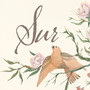 Sur