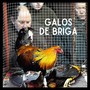 Galos De Rinha