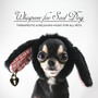 Whisperer for Sad Dog: Therapeutic & Relaxing Music for All Pets