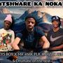 Ntshware Ka Noka (Hala Hitt) (feat. Mr 4nik Plk, Dizzy Bear & Drumatic On the Beat)