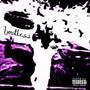 Limitless (feat. Lil 610) [Explicit]