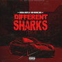 Different Sharks (Explicit)