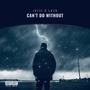 Can't Do Without (feat. Lazu) [Explicit]