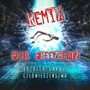 Kamienie i lustra ( Freezbeatz Remix )