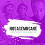 NGSASEMNCANE (feat. Glen & Mg Cliff)