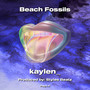 Beach Fossils