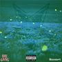 Firefly's (Explicit)