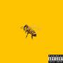 Matrixer (Explicit)