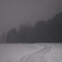 bleak bliss