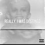 Really, I Was Destined (Explicit)