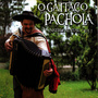 O Gaitaço do Pachola, Instrumental Vol. 1