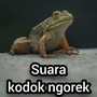 Suara Kodok Ngorek