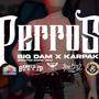 PERROS (feat. BIG DAM) [Explicit]