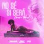 No Sé Si Será (feat. Youcris) (Explicit)