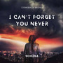 I Can't Forget You Never