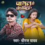 Pagal Ho Gaini Milke Dhokhebaj Se