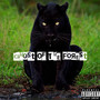 The Ghost of the Forest (Explicit)