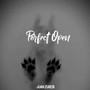 Perfect Open