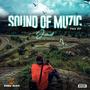 SOUND OF MUZIC (Explicit)